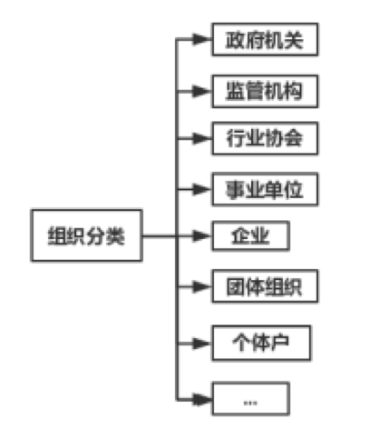 组织分类